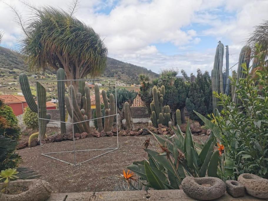 Los Cactus Santa Cruz de Tenerife Exterior foto